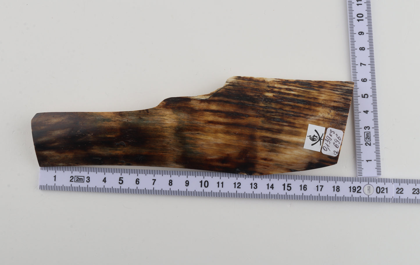 Natural mammoth bark