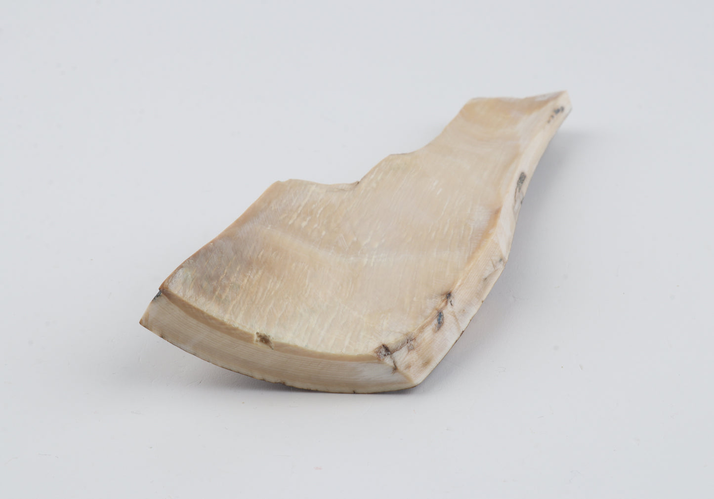 Natural mammoth bark