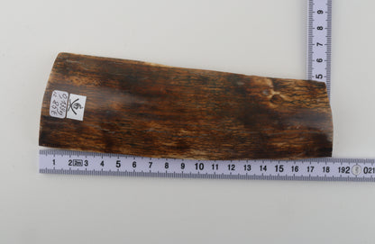 Multicoloured mammoth bark