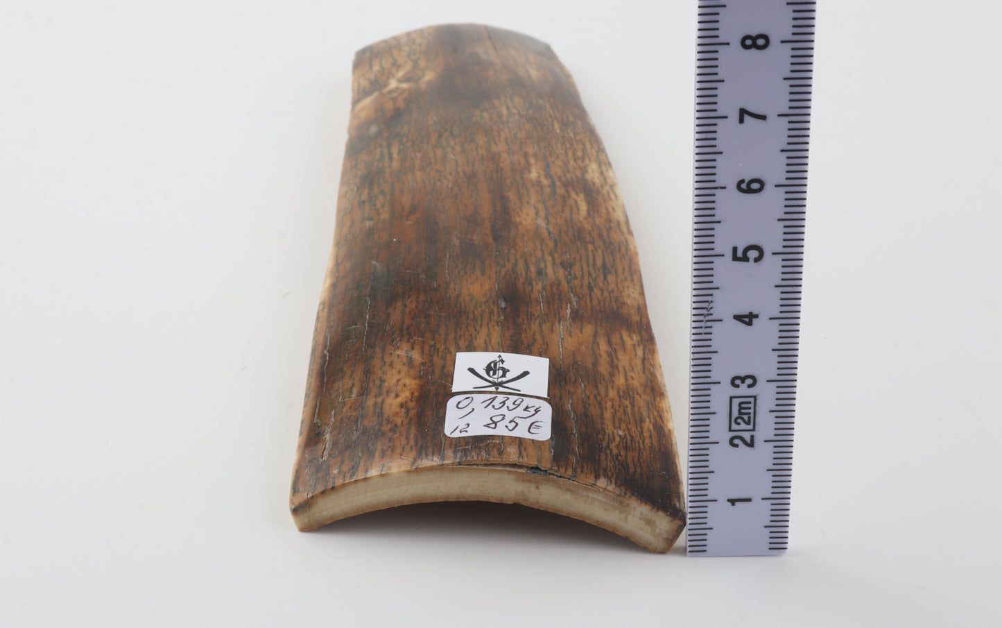 Multicoloured mammoth bark