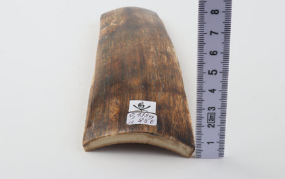 Multicoloured mammoth bark