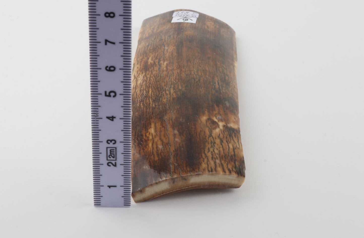 Multicoloured mammoth bark