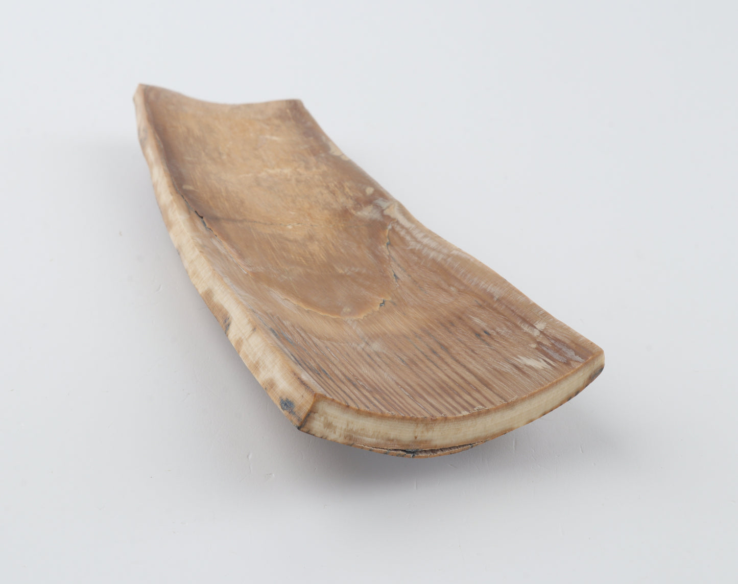 Multicoloured mammoth bark