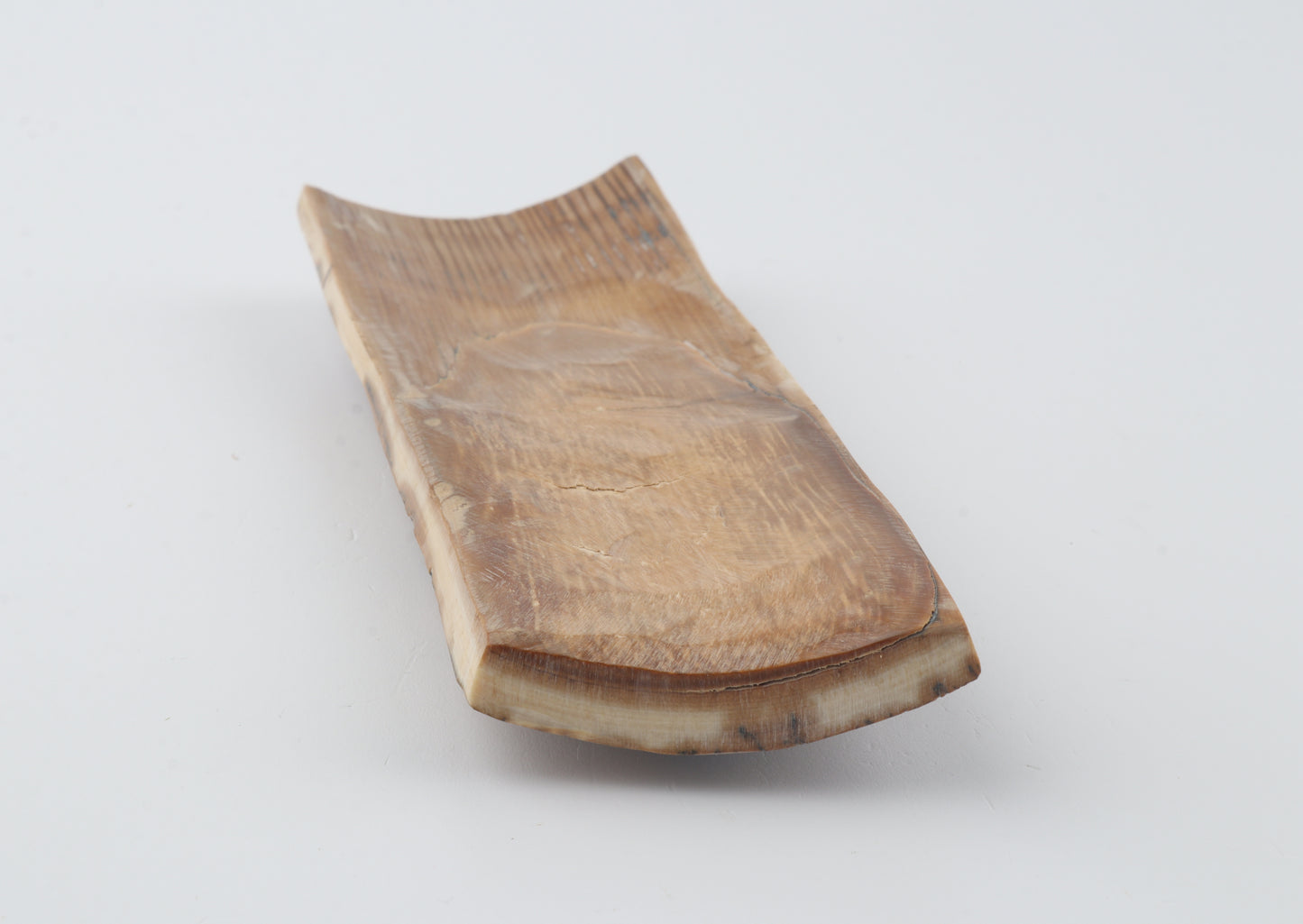 Multicoloured mammoth bark