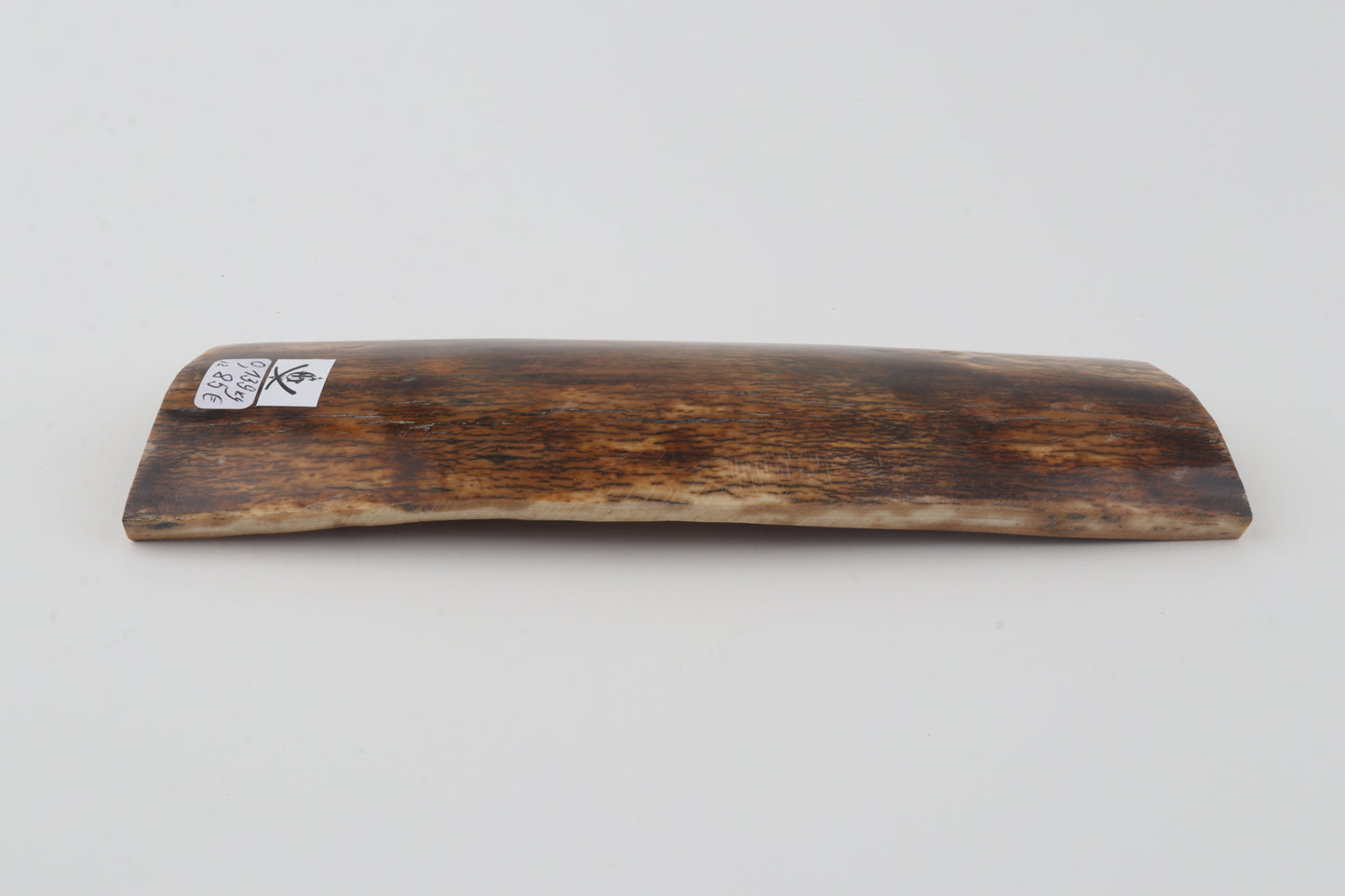 Multicoloured mammoth bark