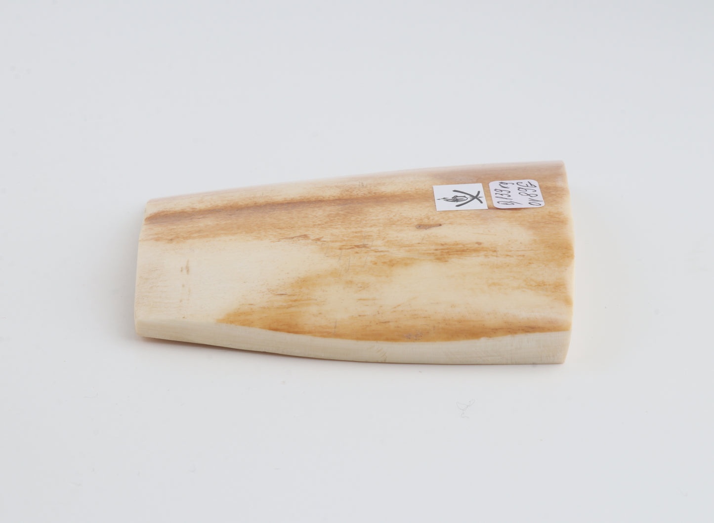 Orange-white mammoth bark