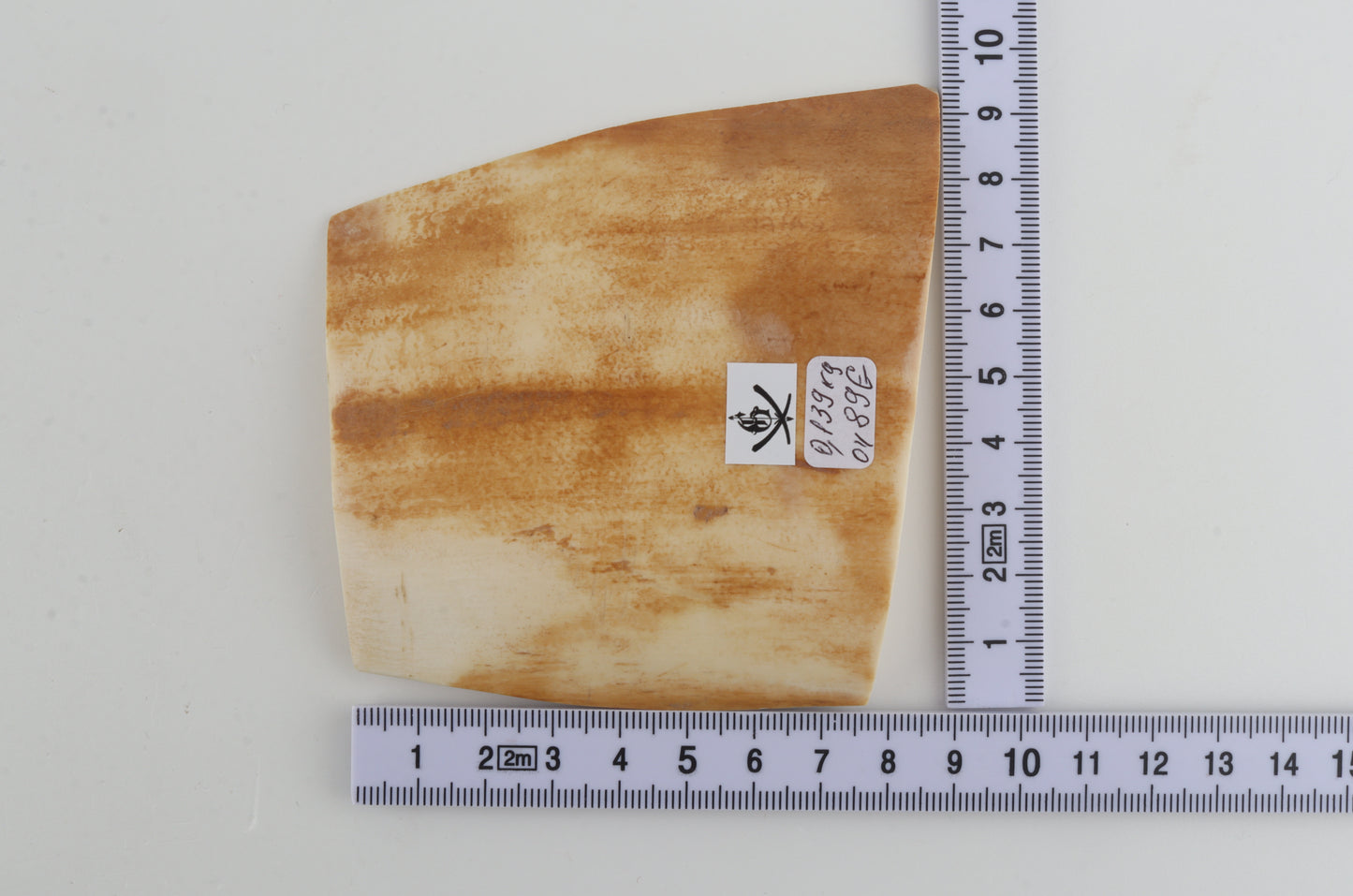 Orange-white mammoth bark