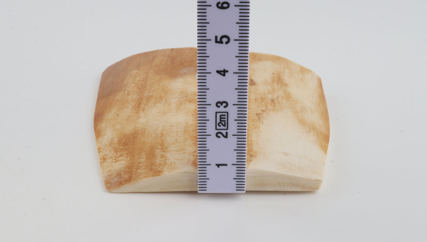 Orange-white mammoth bark