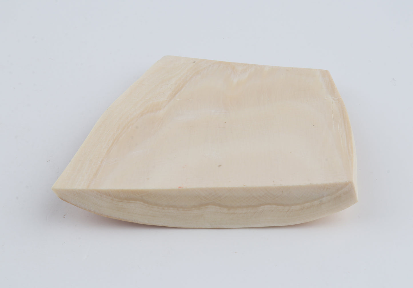 Orange-white mammoth bark