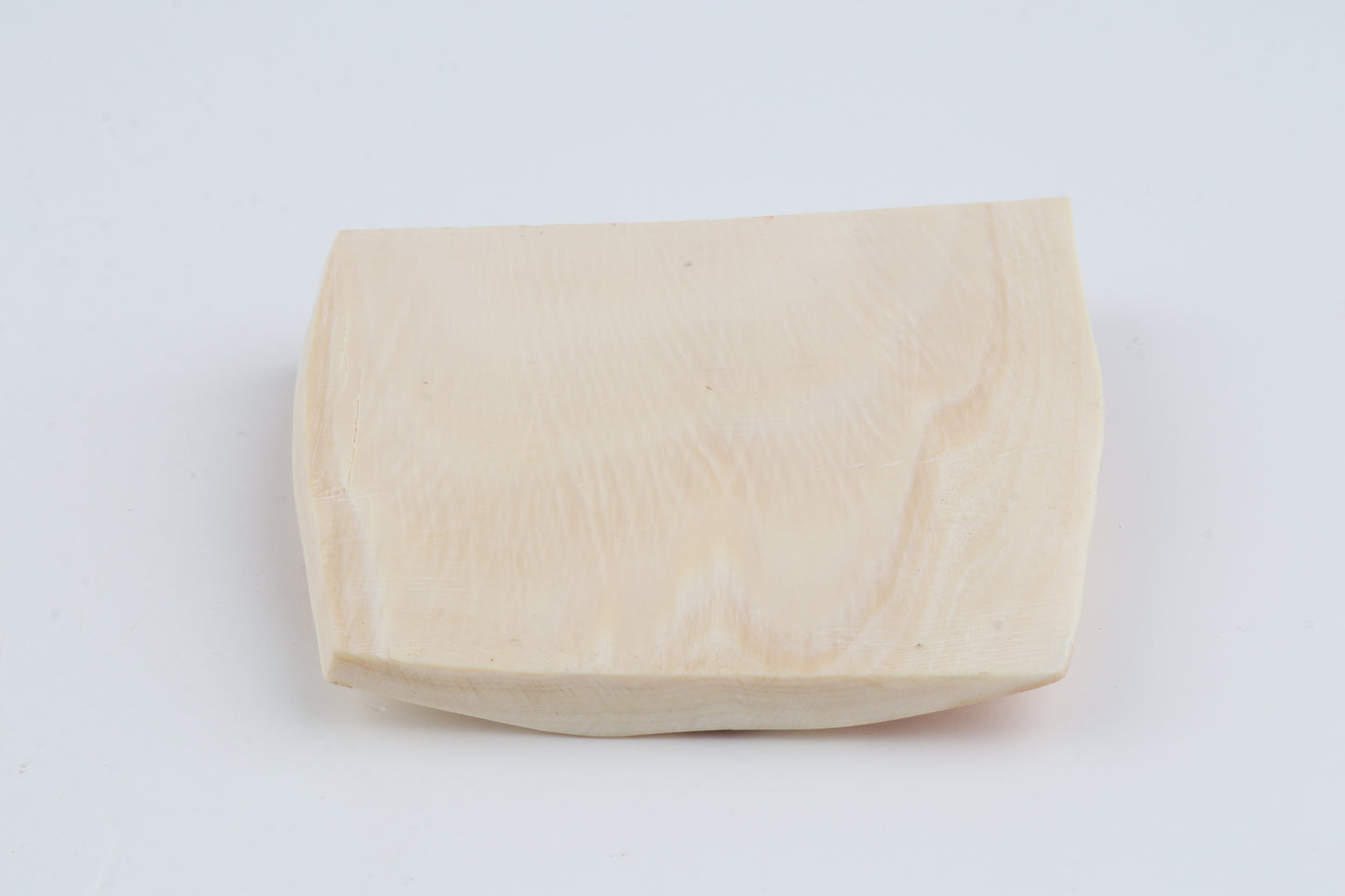 Orange-white mammoth bark