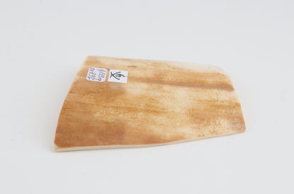 Orange-white mammoth bark