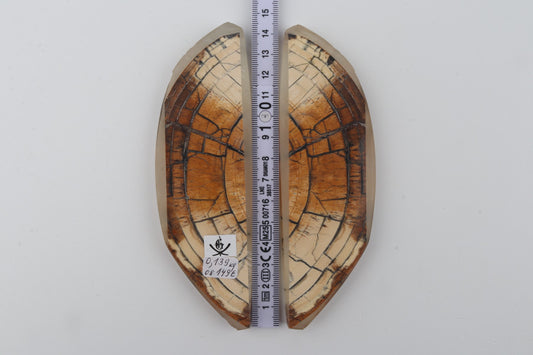Stabilized mammoth ivory scales