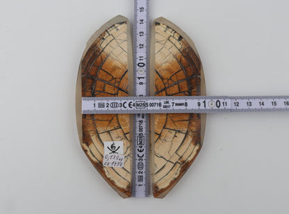 Stabilized mammoth ivory scales