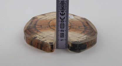 Stabilized mammoth ivory scales