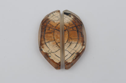 Stabilized mammoth ivory scales