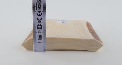 White mammoth ivory segment