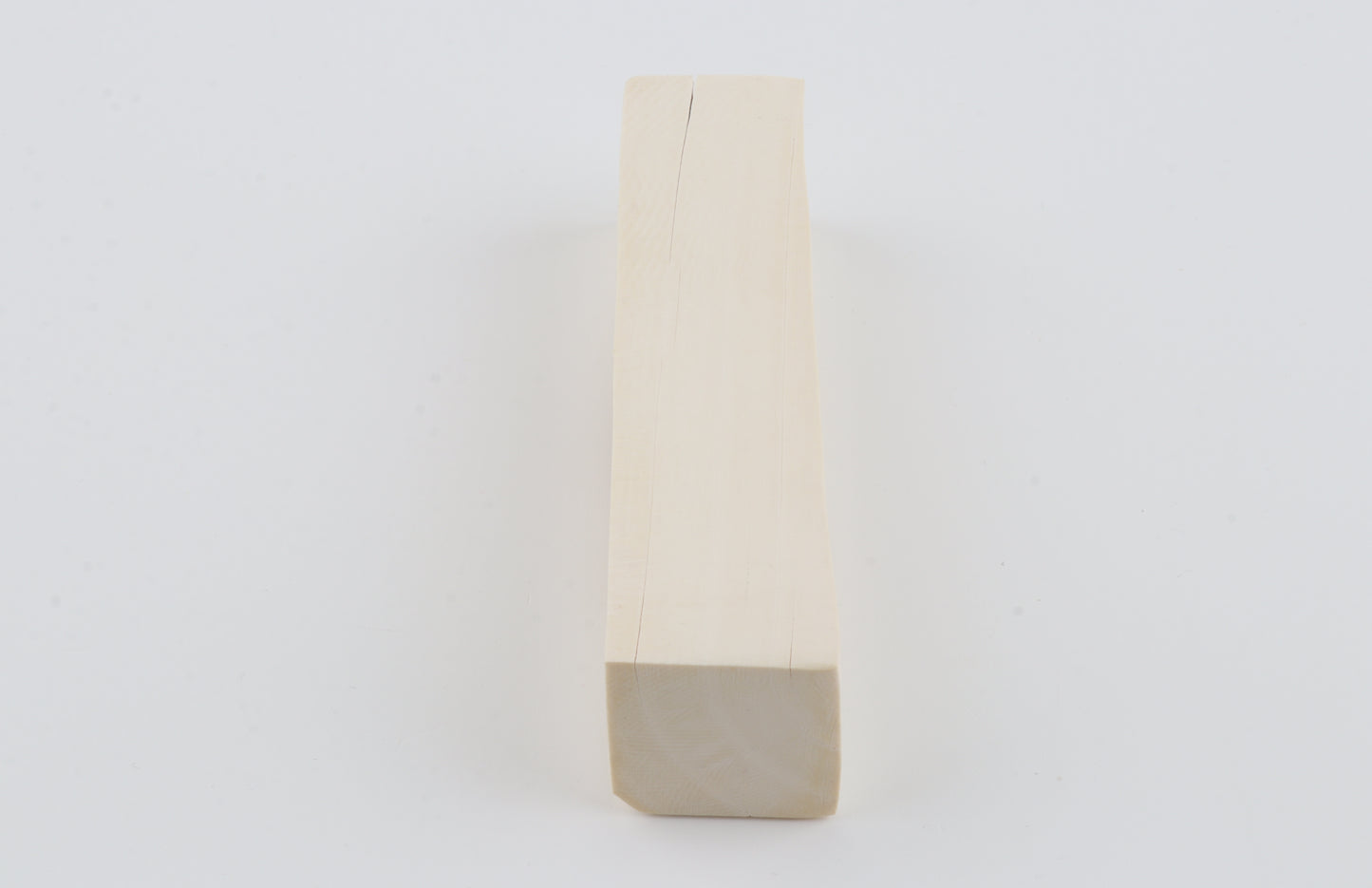 White mammoth ivory segment
