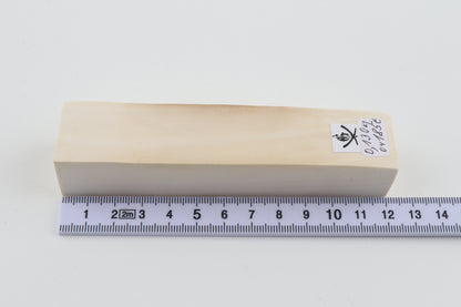 White mammoth ivory segment