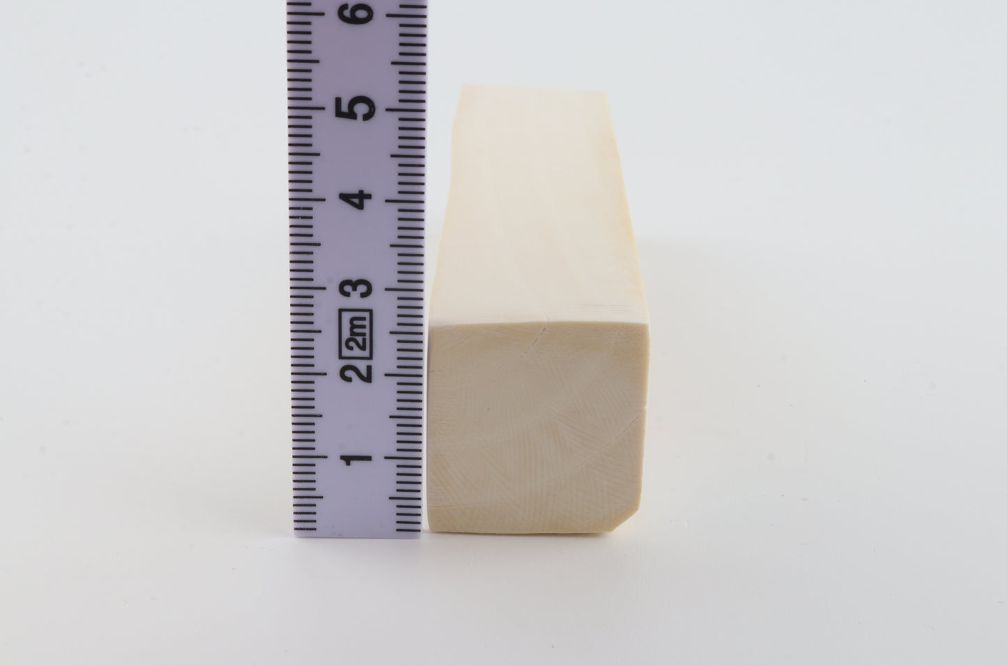 White mammoth ivory segment