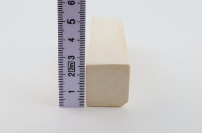 White mammoth ivory segment