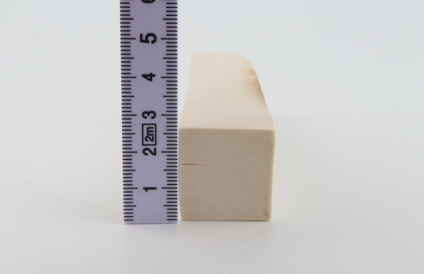 White mammoth ivory segment