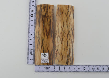 Natural mammoth bark scales