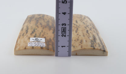 Natural mammoth bark scales