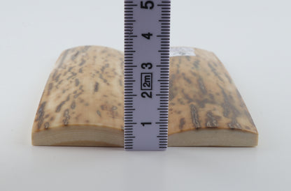 Natural mammoth bark scales