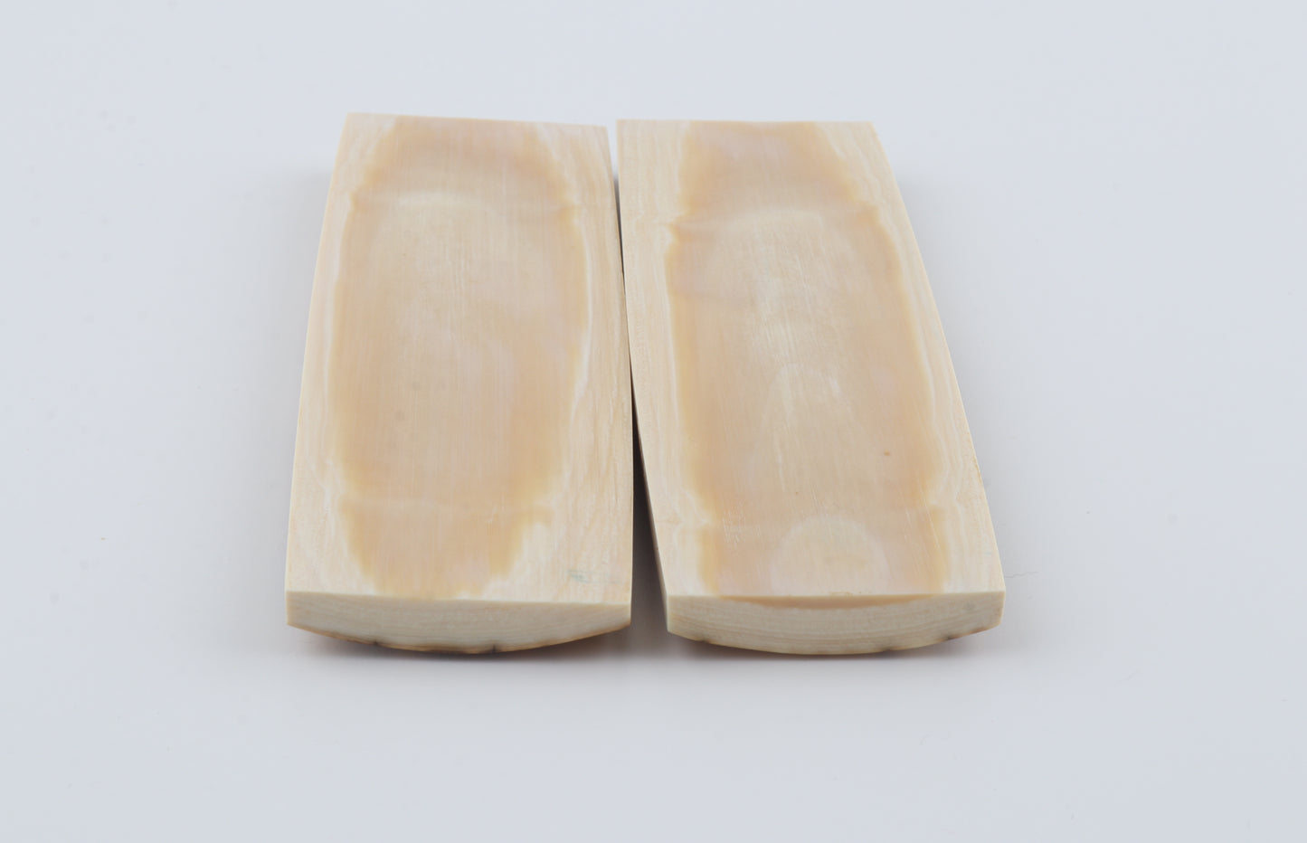 Natural mammoth bark scales