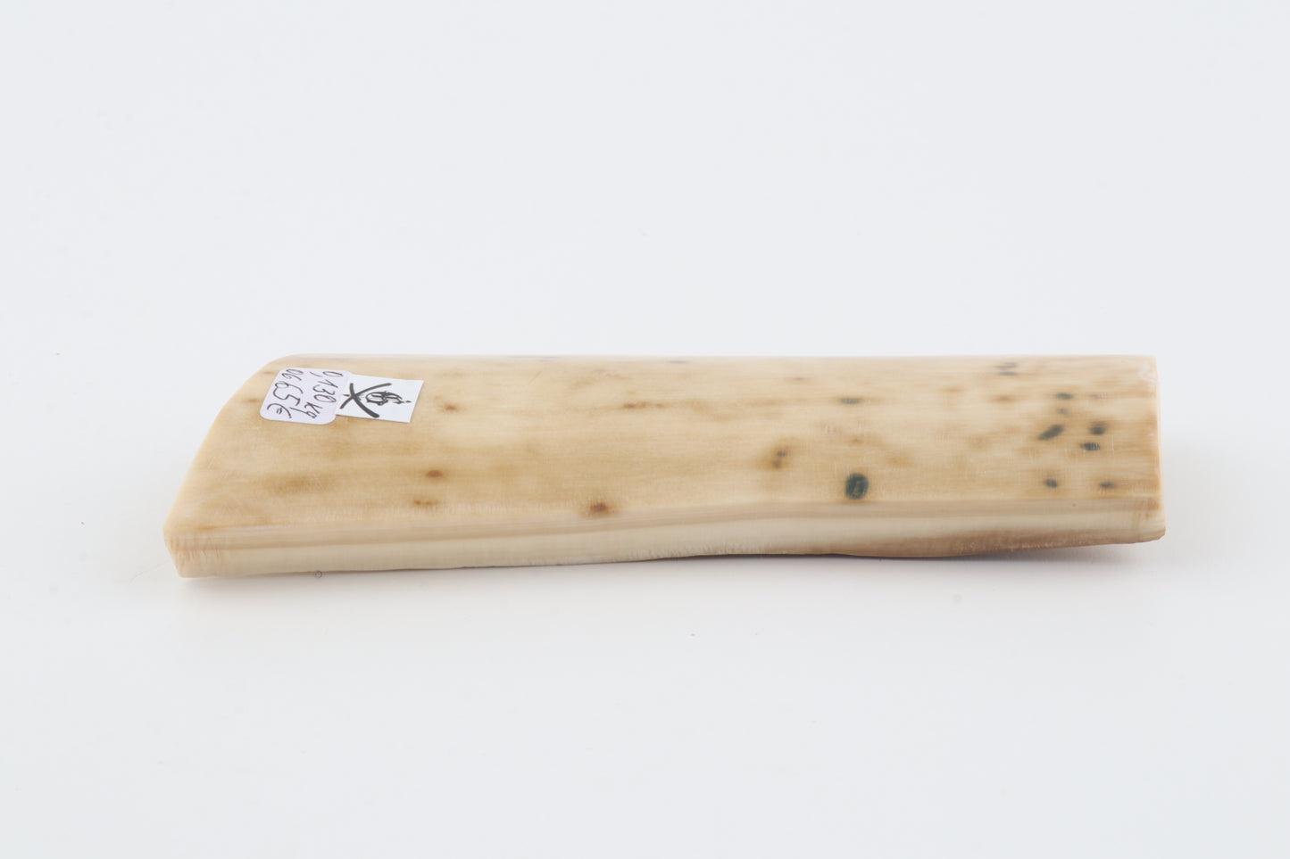 White mammoth bark