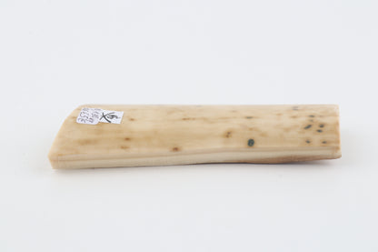 White mammoth bark