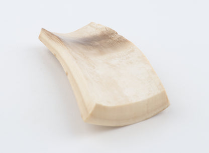 White mammoth bark