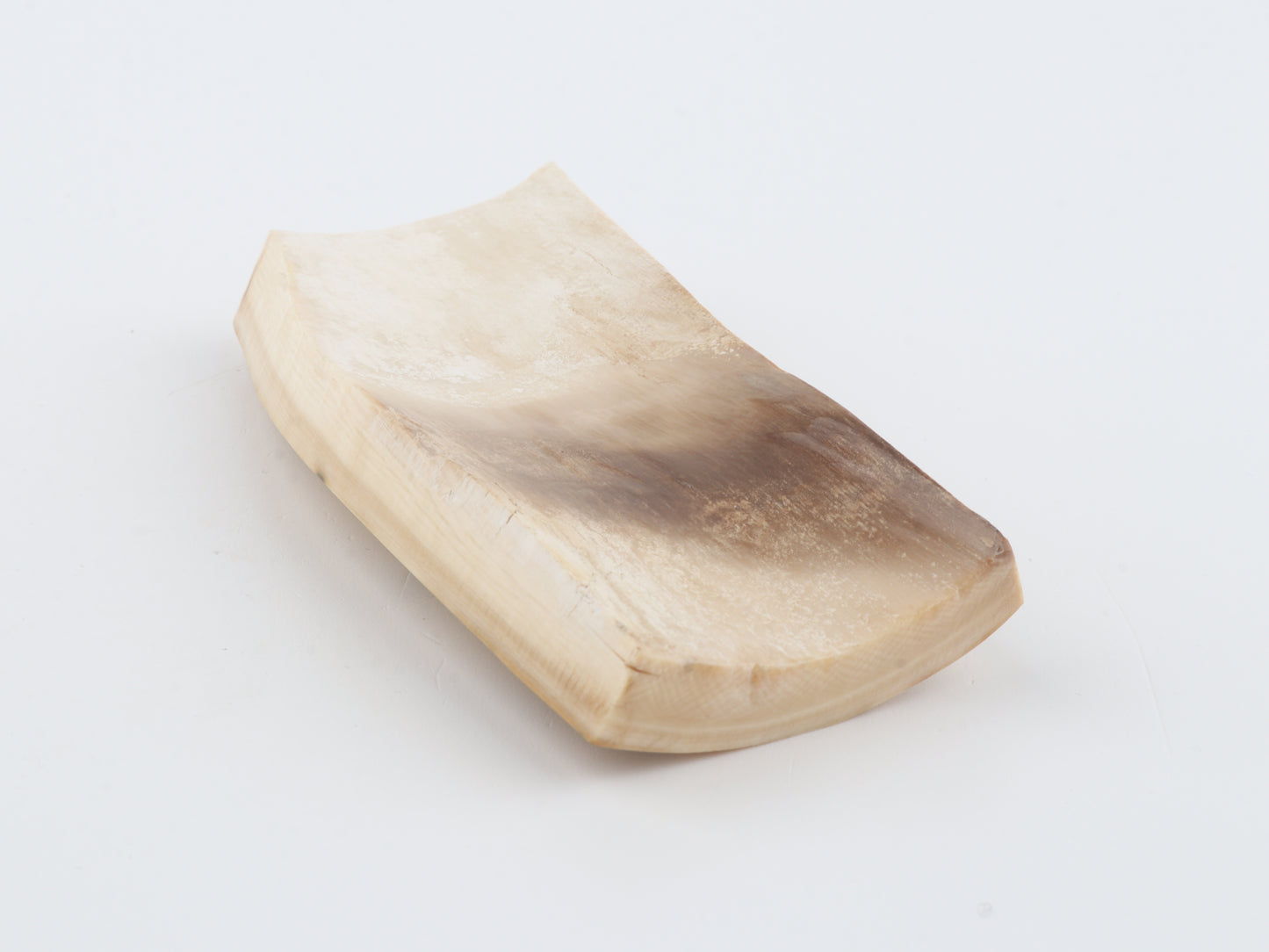 White mammoth bark