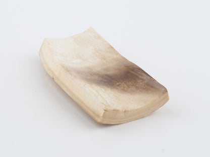 White mammoth bark