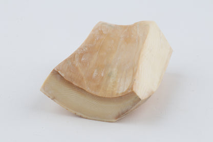 Natural mammoth ivory piece