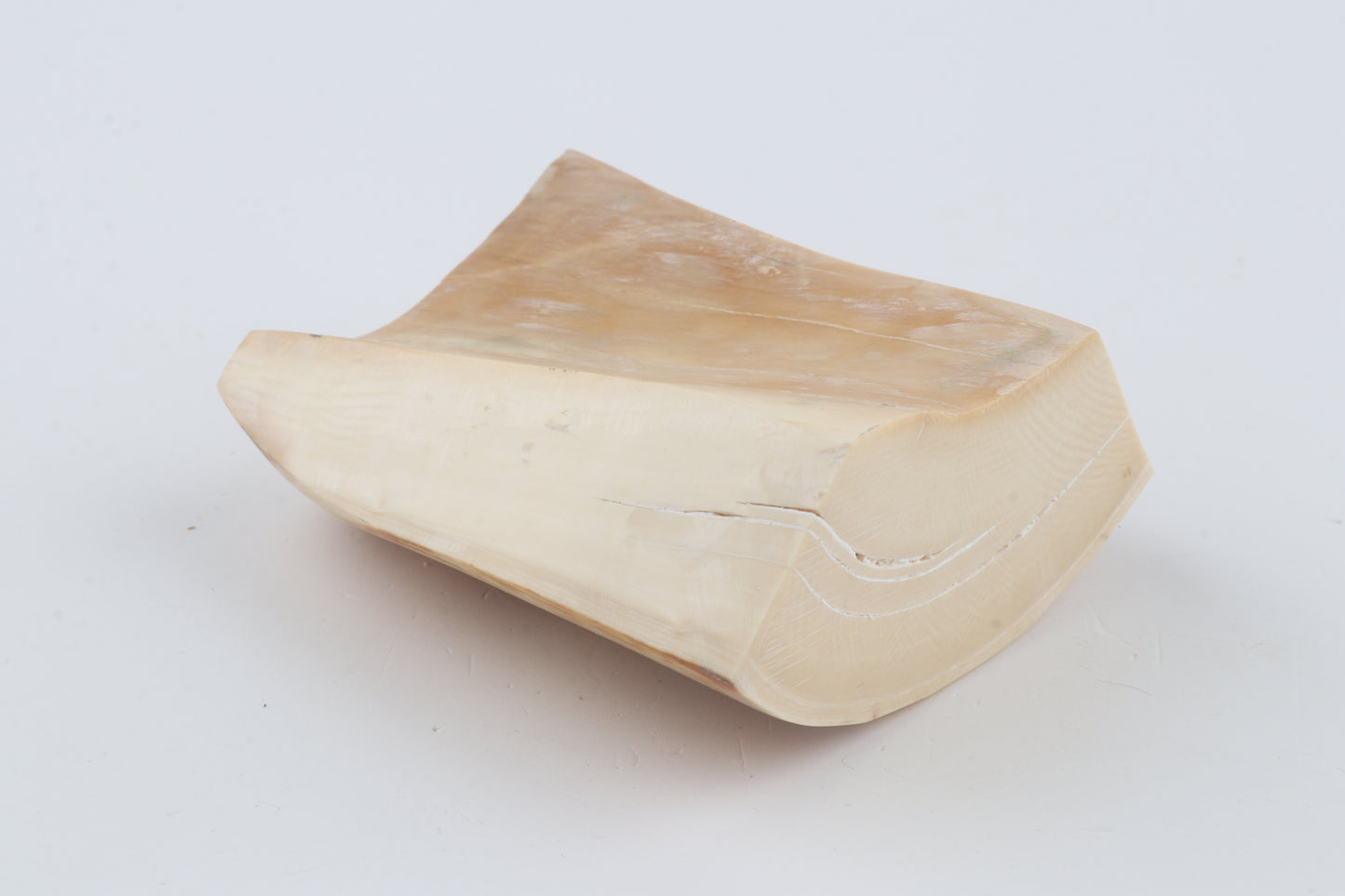 Natural mammoth ivory piece