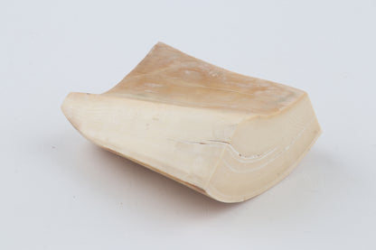Natural mammoth ivory piece