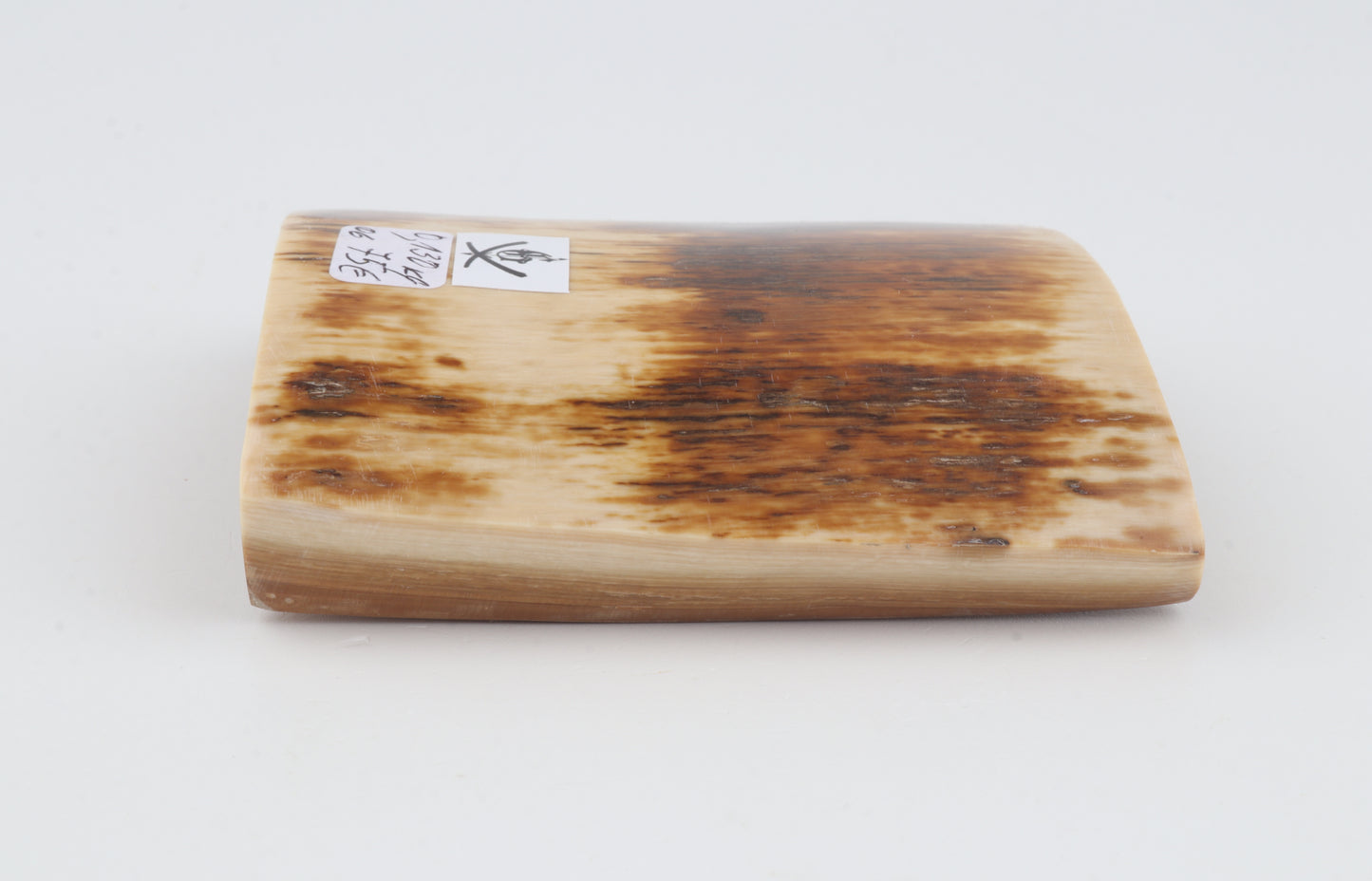 Orange-brown mammoth bark