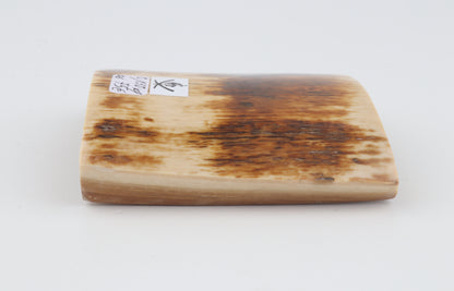 Orange-brown mammoth bark