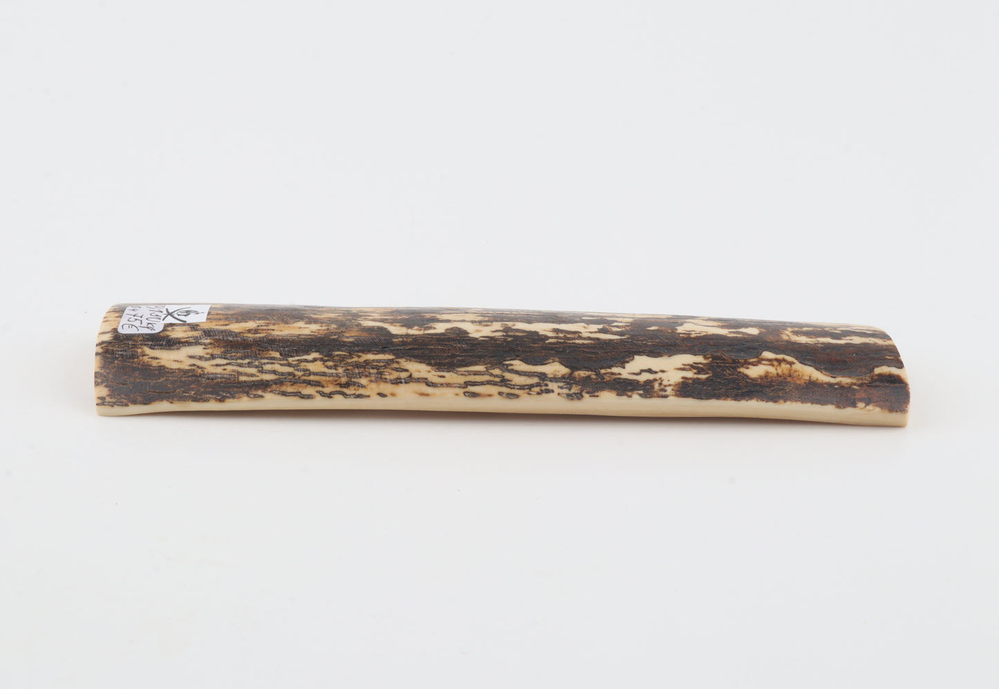 Brown-white mammoth bark