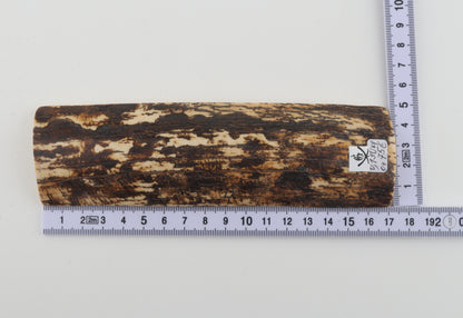 Brown-white mammoth bark