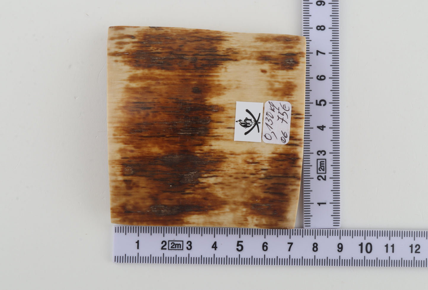 Orange-brown mammoth bark