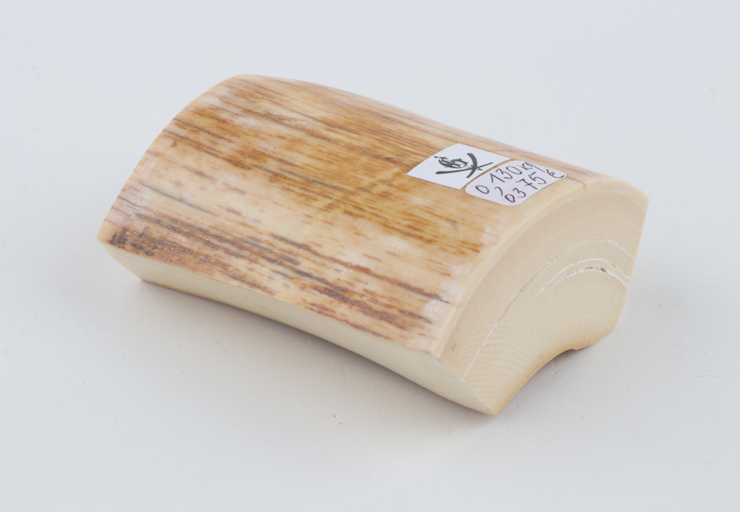Natural mammoth ivory piece