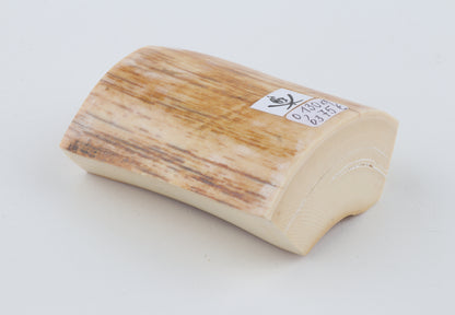 Natural mammoth ivory piece