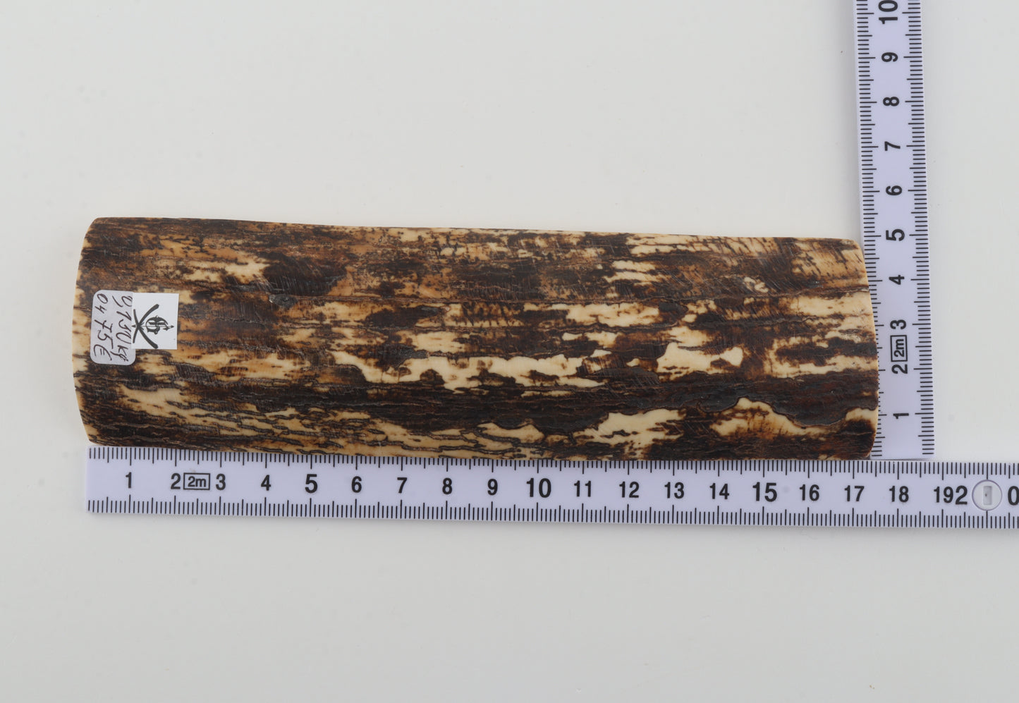 Brown-white mammoth bark