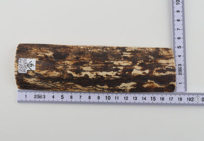Brown-white mammoth bark