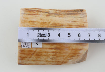 Natural mammoth ivory piece