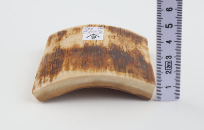 Orange-brown mammoth bark