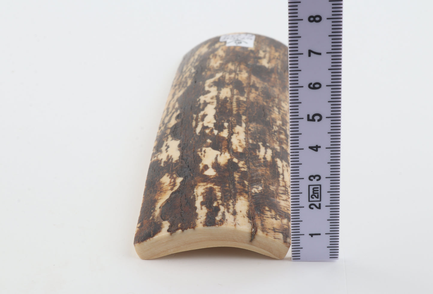 Brown-white mammoth bark