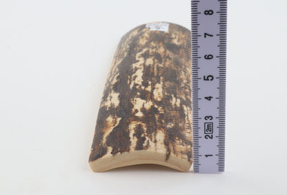 Brown-white mammoth bark